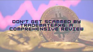 TrademateFX6, TrademateFX6 scam, TrademateFX6 review, TrademateFX6 update, TrademateFX6 news, TrademateFX6 online, TrademateFX6 new, TrademateFX6 2023, TrademateFX6 reviews 2023,