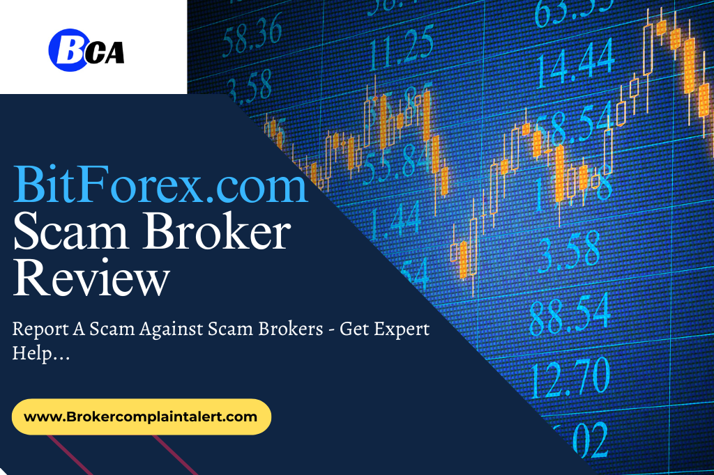 BitForex review, BitForex, BitForex scam broker review, BitForex.com, broker review, scam broker review, BitForex financial services, financial service specialist, financial experts, financial tips and advice from experts, financial news, services, financialservices, scam brokers, forex scam, forex broker, scam broker, scam forex brokers, scam brokers forex list, scam forex brokers list, best forex broker, scam broker identify, scam broker recovery, scam brokers 2023, scam brokers forex, forex broker scams, scam, list of scams brokers, blacklists of forex scam brokers, choose a forex broker, tmgm scam broker, broker scams, broker review, broker, forex scam brokers, forex scam broker talk, binary scam brokers, crypto scam brokers, trading for beginners, day trading, trading, forex trading, online trading, how to start trading, trading online, live trading, options trading, forex trading for beginners, earn money online, make money online, online trading academy, trading live, how to earn money from trading, online trading for beginners, day trading live, making money online,